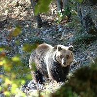 Abruzzo piatti tipici e ricette