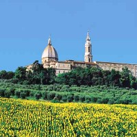 Marche piatti tipici e ricette